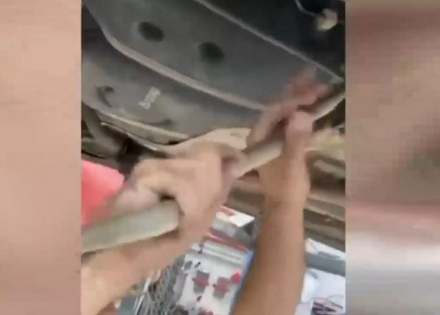 Θεσσαλονίκη: Φίδι μέσα σε ντεπόζιτο βενζίνης αυτοκινήτου – Δείτε τι έγινε μόλις το κατάλαβε ο οδηγός