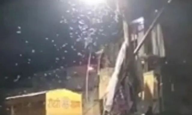 Η «βροχή από λευκά σκουλήκια» που τρομοκράτησε μια πόλη - Οι κάτοικοι άρχισαν να κλείνουν τα μαγαζιά τους