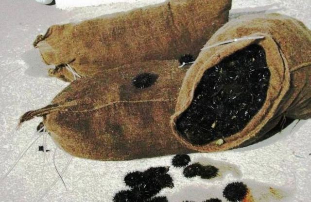 Πρόστιμα μετά από ελέγχους των Λιμενικών σε Λάρυμνα και Μαλεσίνα