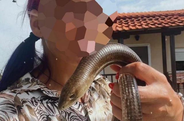 Θεσσαλονίκη: Θετικά μηνύματα για την υγεία της εθελόντριας ερπετολόγου - Πώς σώθηκε