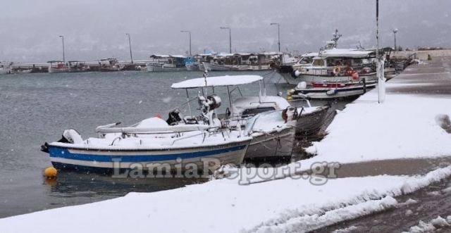Θεολόγος Μαλεσίνας: Το χιόνι έφτασε στη θάλασσα (ΒΙΝΤΕΟ)