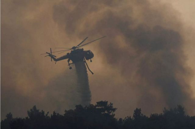 Έβρος: Πέντε προσαγωγές για εμπρησμό για τη φωτιά στην περιοχή Λάβαρα