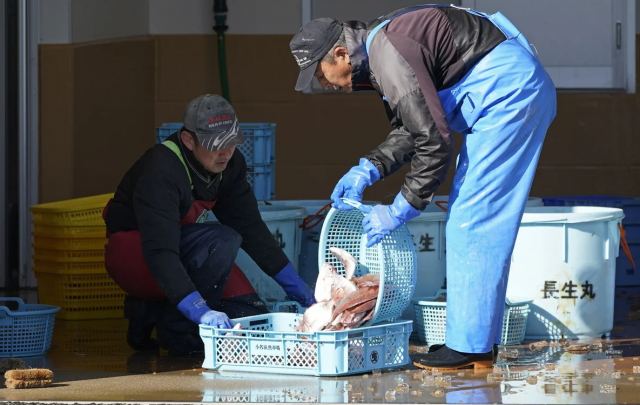 Φουκουσίμα: Εντοπίστηκε ψάρι με ραδιενέργεια 180 φορές πάνω από το όριο ασφαλείας