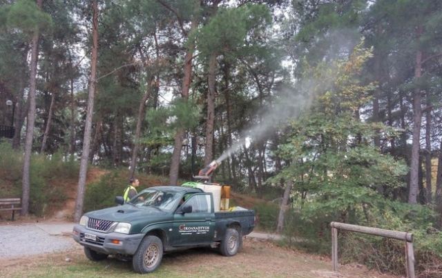 Δήμος Λαμιέων: Ξεκινούν οι ψεκασμοί για την κάμπια των πεύκων