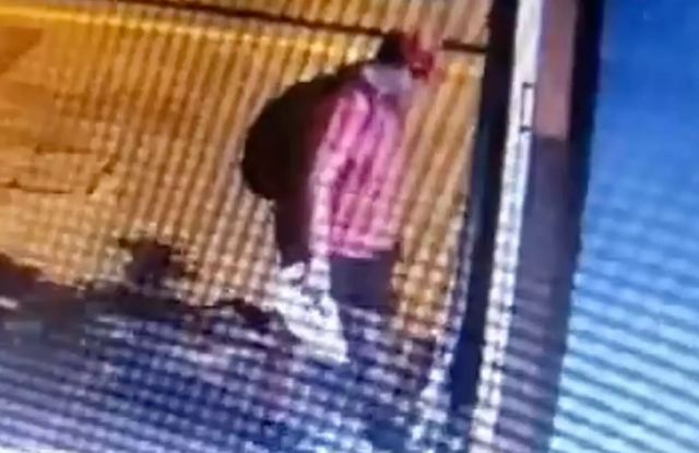 Θεσσαλονίκη: 3.000 ευρώ για να βρεθεί ο άνδρας που ποδοπάτησε και σκότωσε το γατάκι - Επικήρυξη από φιλοζωική