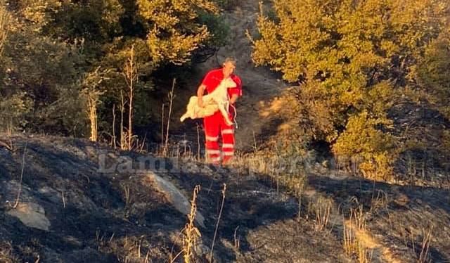 Μετράνε τις πληγές τους στη δυτική Φθιώτιδα - Δείτε εικόνες!