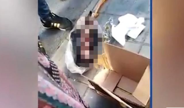 Σκληρές εικόνες: Συγκλονίζει η στιγμή της διάσωσης εγκαταλελειμμένου νεογέννητου από τα σκουπίδια