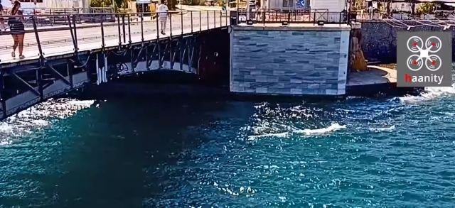 Σπάνιο φαινόμενο! Ατελείωτη «στρατιά» από μέδουσες διασχίζει τα «τρελά νερά» της Χαλκίδας - BINTEO