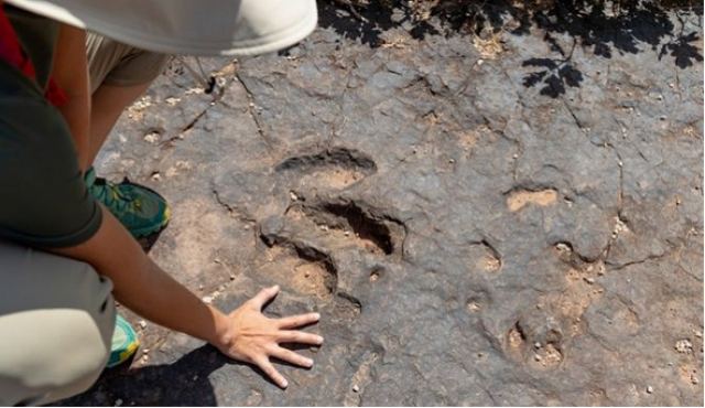 Κίνα: Ίχνη δεινοσαύρων 100 εκατομμυρίων ετών βρέθηκαν στην αυλή εστιατορίου