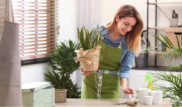 Λιγότερο άγχος και περισσότερη δημιουργικότητα με 5 πολύτιμα φυτά