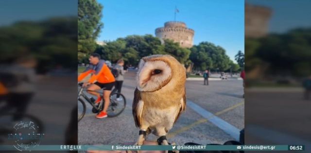 Θεσσαλονίκη: Αντιδράσεις για άνδρα που κυκλοφορούσε με κουκουβάγια στον Λευκό Πύργο