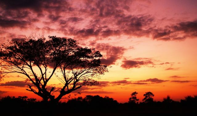 Αυστραλία: Σήμερα η θερμότερη ημέρα των τελευταίων δύο ετών