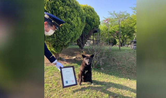 Ιαπωνία: Ηρωικός σκύλος έσωσε 50χρονο από καρδιακό επεισόδιο