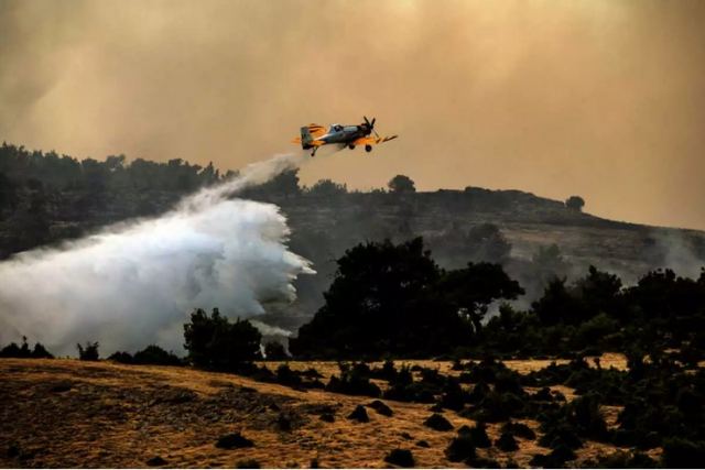 Φωτιά στο δάσος της Δαδιάς: Σε δυο μέτωπα η μεγάλη μάχη – «Δούλεψαν» οι αντιπυρικές ζώνες
