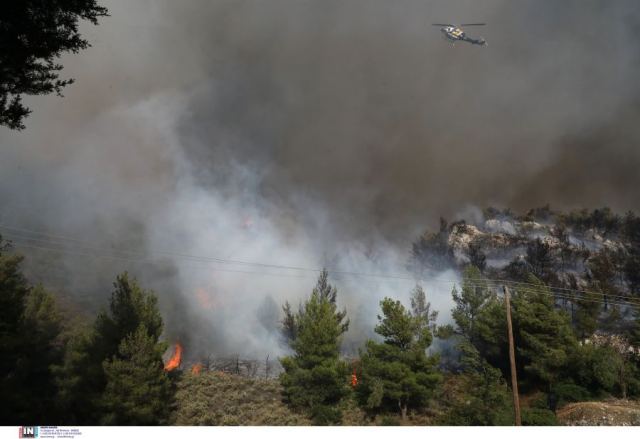 Ευθύμιος Λέκκας: Οι πέντε παράγοντες που συνθέτουν την υψηλή διακινδύνευση στην πυρκαγιά της Βούλας