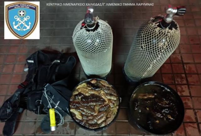 Τους έπιασε το Λιμενικό να αλιεύουν παράνομα «αγγούρια της θάλασσας»