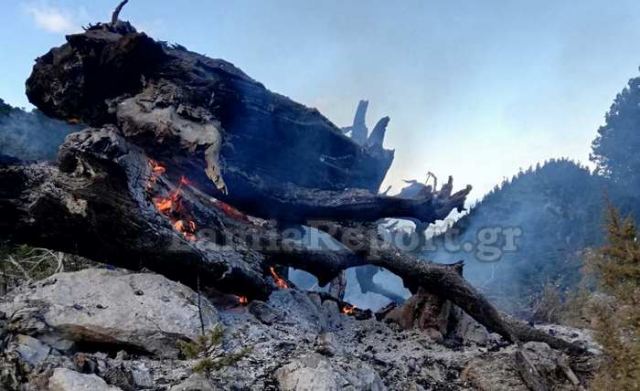 Από κεραυνό η πυρκαγιά στα Βαρδούσια (ΒΙΝΤΕΟ - ΦΩΤΟ)