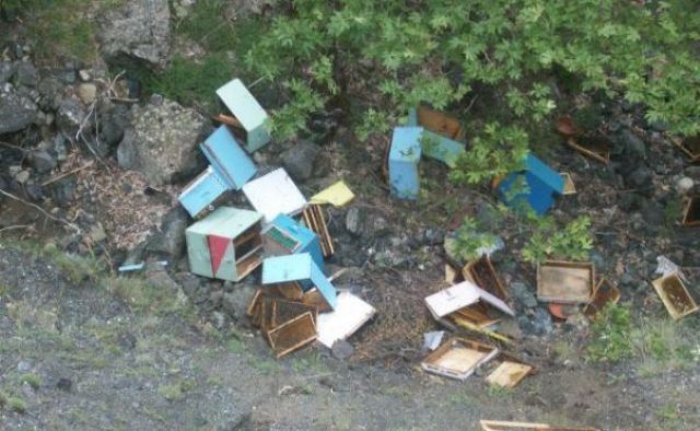 Τρεις ανήλικοι υπεύθυνοι για το θάνατο χιλιάδων μελισσών