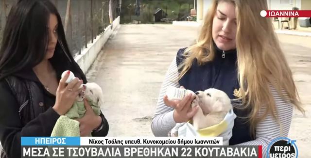 Ιωάννινα: 22 κουτάβια βρέθηκαν μέσα σε τσουβάλια [βίντεο]