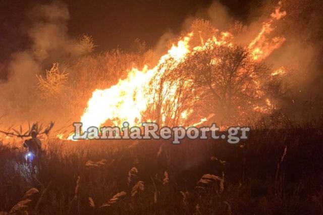 Πυρκαγιά στην Κόμνηνα Φθιώτιδας - Δείτε εικόνες