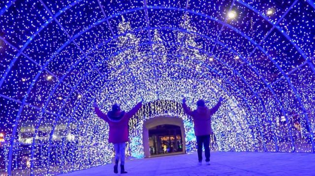 Λαμία: Πότε θα γίνει το άναμμα του δέντρου στην πόλη;