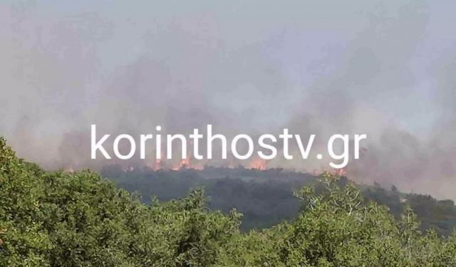 Φωτιά στην Κορινθία ανάμεσα σε Άγιο Ιωάννη και Σοφικό – Μεγάλη κινητοποίηση της πυροσβεστικής