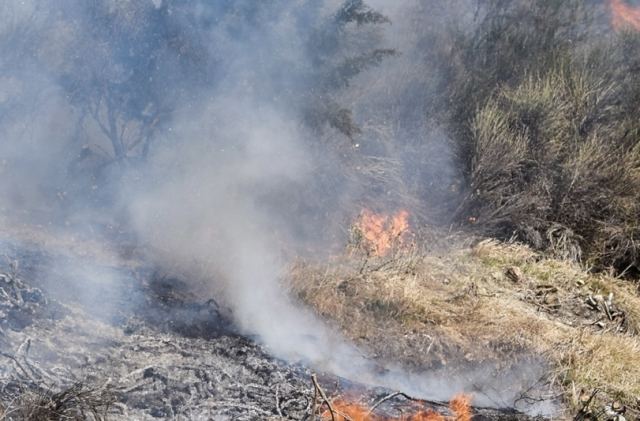 Πυρκαγιές και σύλληψη στην Εύβοια για εμπρησμό