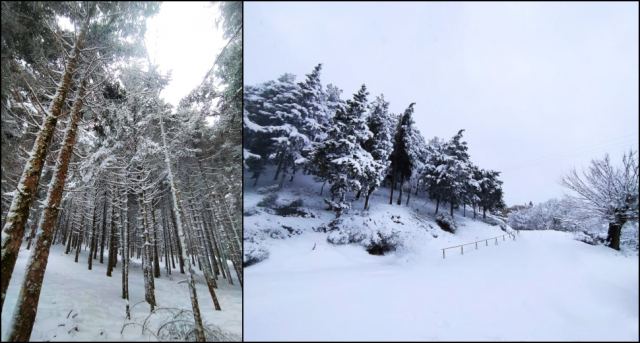 Πάνω από μισό μέτρο το χιόνι στον Τυμφρηστό! (ΦΩΤΟ)