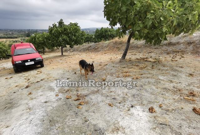 Με διασωστικό σκύλο και drone ψάχνουν 48χρονο βοσκό
