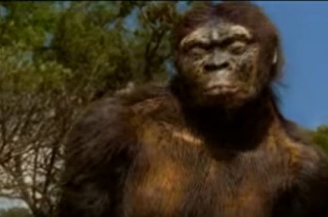 Ποιά είναι η Αυστραλοπίθηκος Λούσι! Η επέτειος από την ανακάλυψή της (vid)