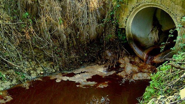 Απόβλητα ελαιοτριβείου στη θάλασσα του Μαλιακού