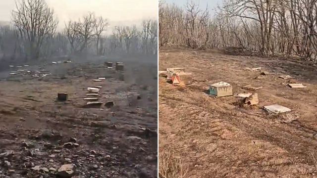 Φωτιά στον Έβρο: «Κοριτσάκια μου γλυκά» - Μελισσοκόμος αποχαιρετά με λυγμούς τις μέλισσες που κάηκαν