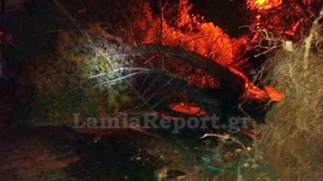 Πολλές οι κλήσεις στην Πυροσβεστική σε όλη τη Στερεά