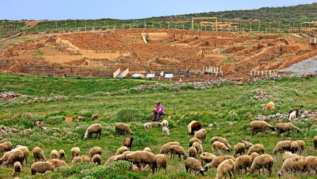 Το αρνάκι Λήμνου έγινε προστατευόμενο προϊόν