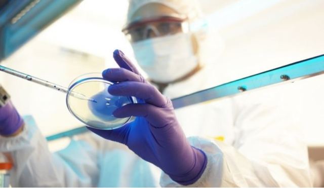 Ευλογιά των πιθήκων: Θεραπείες και εμβόλια αναζητά η Task Force του EMA