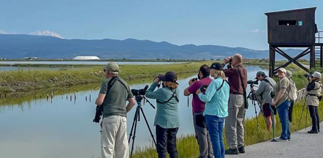 Η Λέσβος, κορυφαίος προορισμός παρατήρησης πουλιών - Έσπευσαν ξένοι παρατηρητές στο νησί