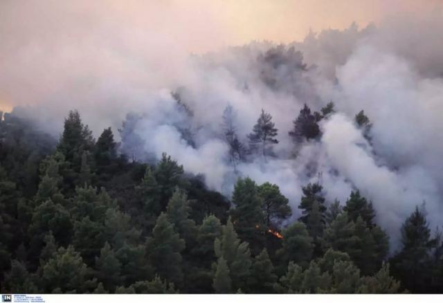 Γρεβενά: Σιγοκαίει για 12η μέρα η φωτιά στη Βάλια Κάλντα