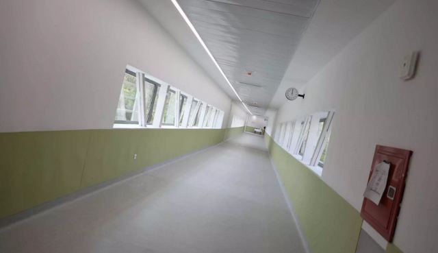 Πάτρα: Θρίλερ με την τροπονίνη στην καρδιά της Τζωρτζίνας - Η υψηλή τιμή και τα ερωτήματα