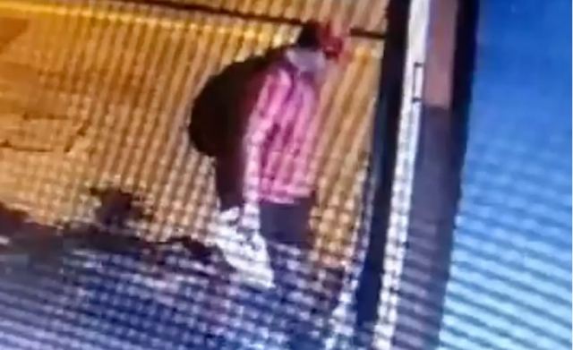 Θεσσαλονίκη: Ταυτοποιήθηκε ο άνδρας που ποδοπάτησε και σκότωσε το γατάκι