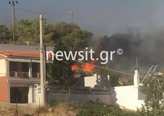 Τρία τα μέτωπα της φωτιάς στη Σαλαμίνα - «Ξέσπασαν ταυτόχρονα» κοντά στο κέντρο της πόλης