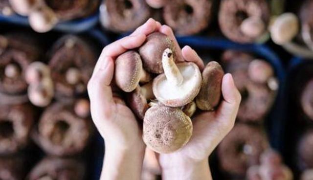 Το τρόφιμο που έχουμε όλοι στην κουζίνα μας και διώχνει την κατάθλιψη