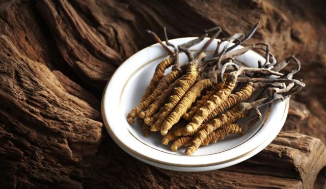 Το μανιτάρι που είναι πιο ακριβό ακόμη και από το χρυσό