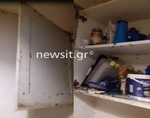 Άγιος Παντελεήμονας: Έλεγε στα παιδιά της ότι οι κατσαρίδες ήταν πεταλούδες – Ξέσπασε η πρόεδρος του δικαστηρίου