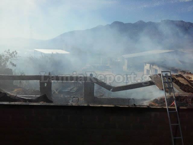 Φθιώτιδα: Λαμπάδιασε στάβλος τα ξημερώματα (ΦΩΤΟ)