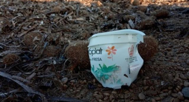 Κεσεδάκι γιαουρτιού από τους Ολυμπιακούς του 1976 ξεβράστηκε σε παραλία