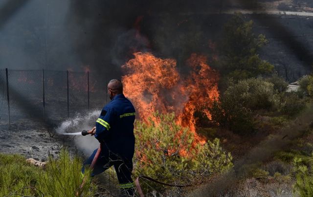Φωτιά στη Λακωνία – Σηκώθηκαν εναέρια μέσα
