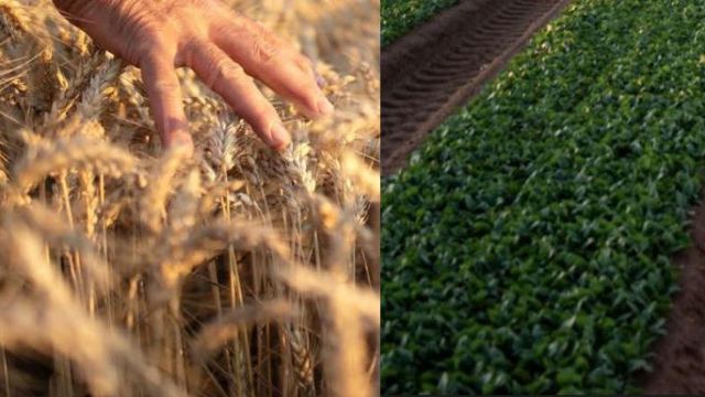 ΥΠΑΑΤ: 1,173 δις ευρώ στους αγρότες παραμονή Χριστουγέννων