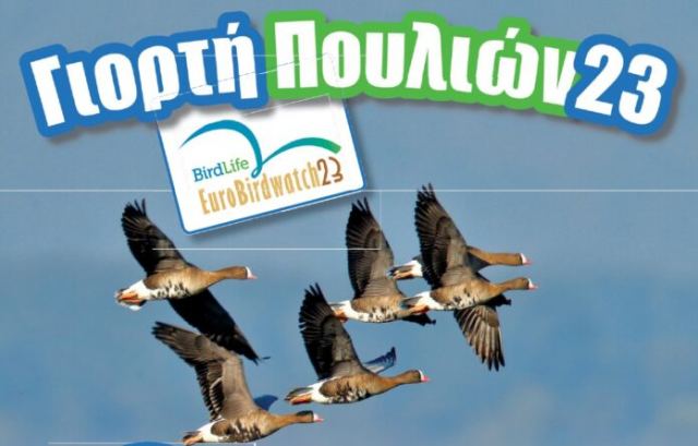 Η Γιορτή των Πουλιών έρχεται την Κυριακή στην Ανθήλη!