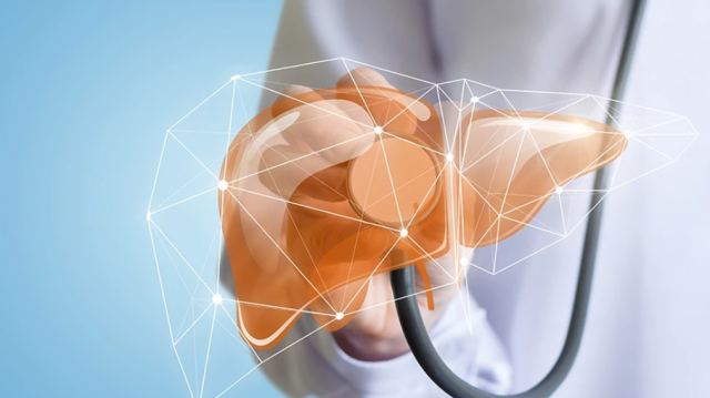 Η απίστευτη ιδιότητα που έχει το ήπαρ: Είναι πάντα έως τριών ετών, ακόμη και στους ηλικιωμένους