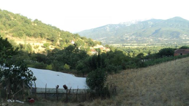 Βρέθηκε μετά από τέσσερις ημέρες ο 72χρονος από την Πτελέα